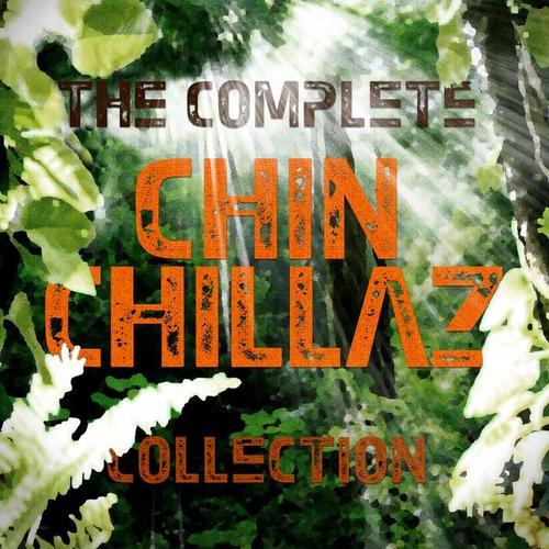 Complete Collection - 30 downtempo and dub choones