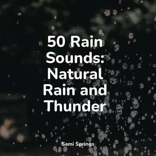 50 Rain Sounds: Natural Rain and Thunder