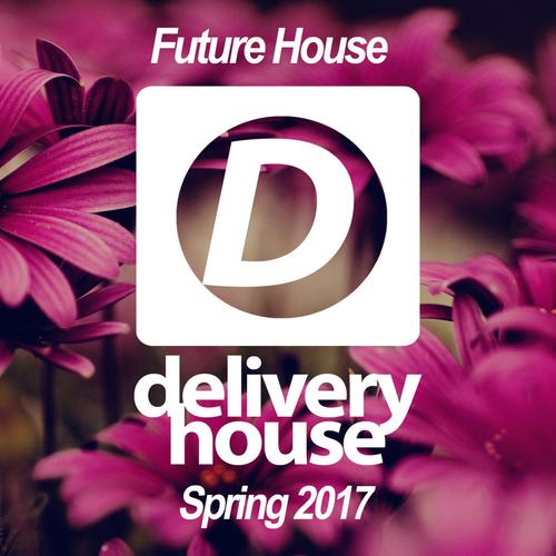 Future House (Spring 2017)