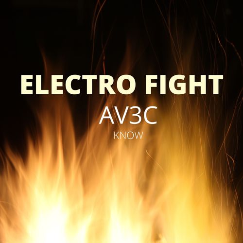 Electro Fight