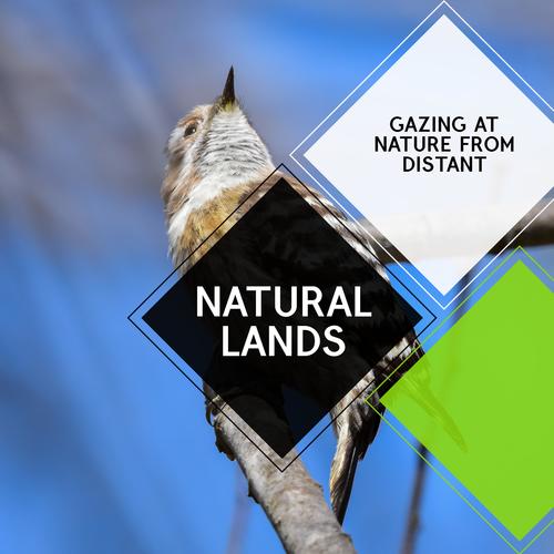 Natural Lands - Gazing At Nature from Distant