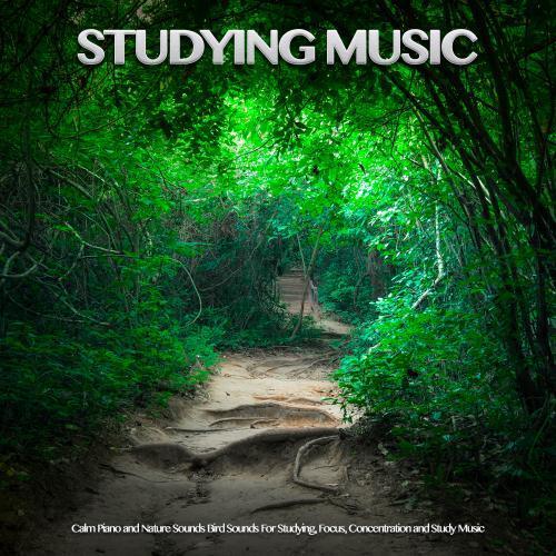 Studying Music: Calm Piano and Nature Sounds Bird Sounds For Studying, Focus, Concentration and Study Music