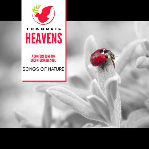 A Comfort Zone for Uncomfortable Soul - Songs of Nature