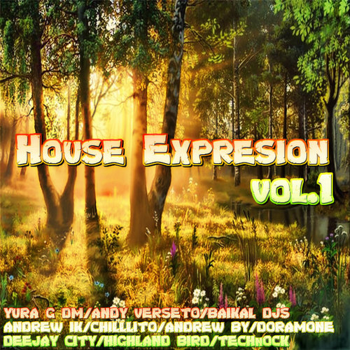 House Expresion, Vol.1