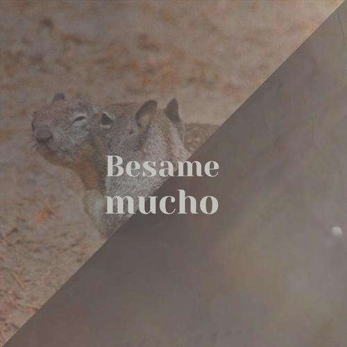 Besame mucho