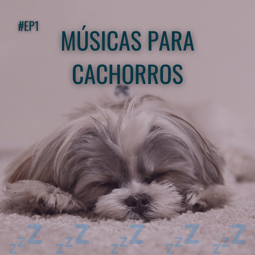 Músicas para Cachorros