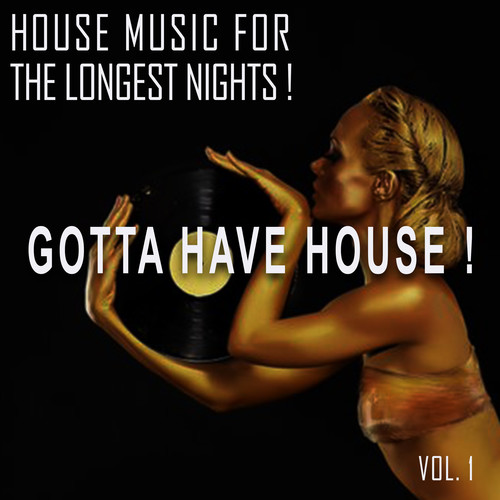 Gotta Have House! -, Vol. 1