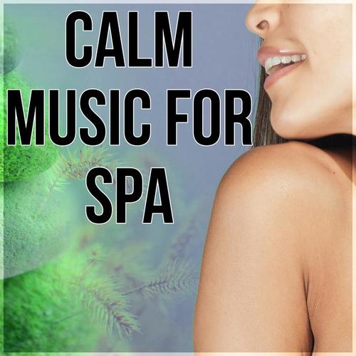 Calm Music for Spa - Pacific Ocean Waves, Well Being, Wellness Spa, Healthy Lifestyle, Luxury Spa, Natural Balance, Mind and Body Harmony, Deep Massage, Background Music for Relaxing