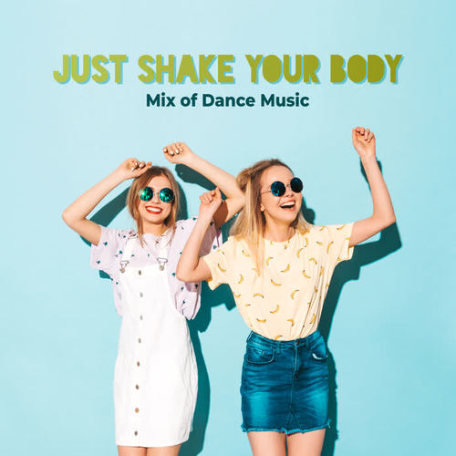 Just Shake Your Body - Mix of Dance Music