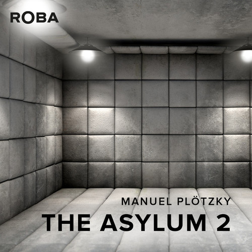 The Asylum 2