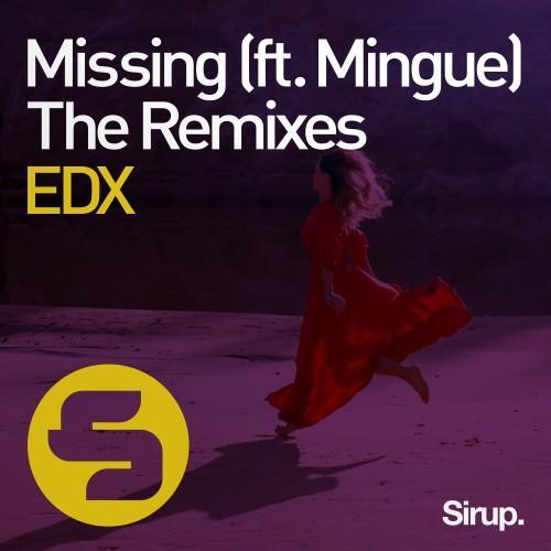 Missing (The Remixes)