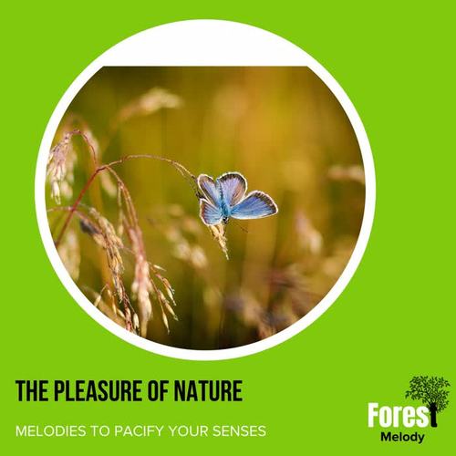 The Pleasure of Nature - Melodies to Pacify Your Senses