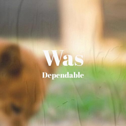 Was Dependable