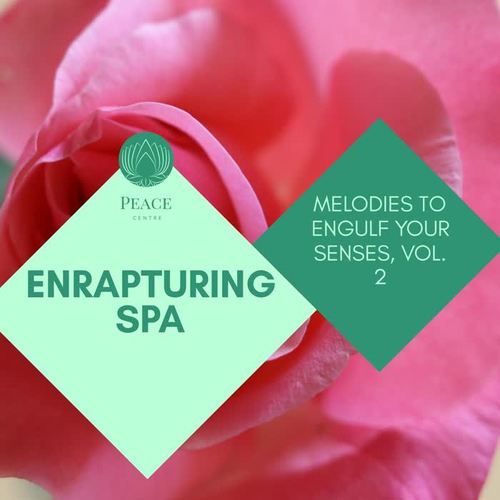 Enrapturing Spa - Melodies To Engulf Your Senses, Vol. 2