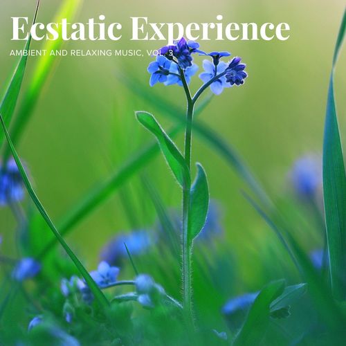 Ecstatic Experience - Ambient and Relaxing Music, Vol. 3