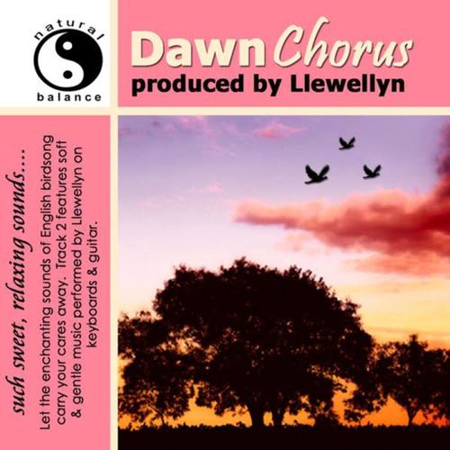 Dawn Chorus