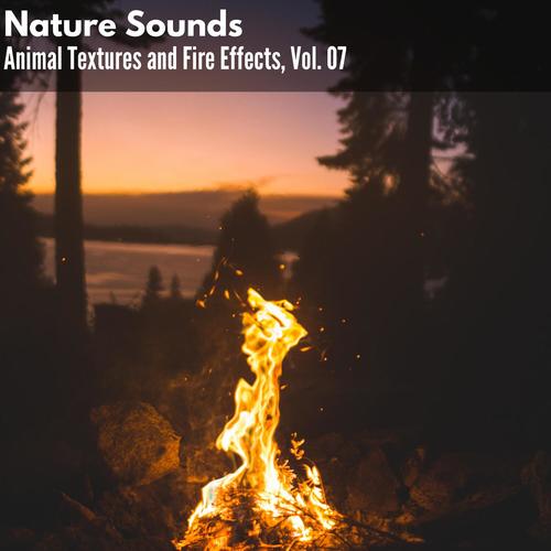 Nature Sounds - Animal Textures and Fire Effects, Vol. 07