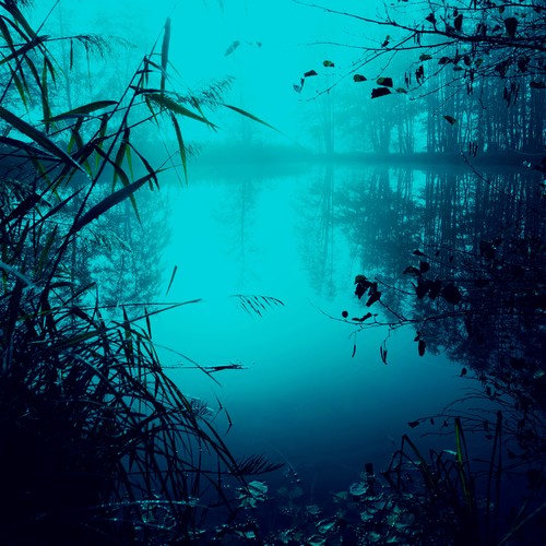 MISTY LAKE