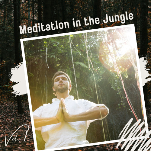 Meditation in the Jungle Vol. 1