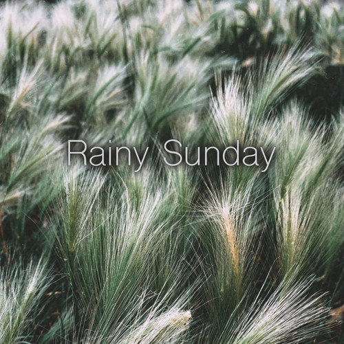 Rainy Sunday