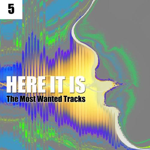 Here It Is, Vol. 5 (The Most Wanted Tracks)