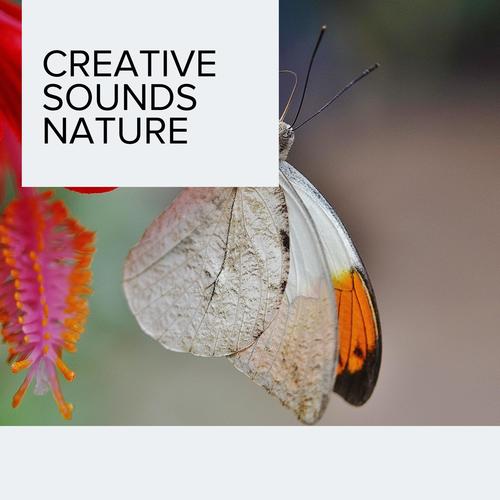 Creative Sounds Nature