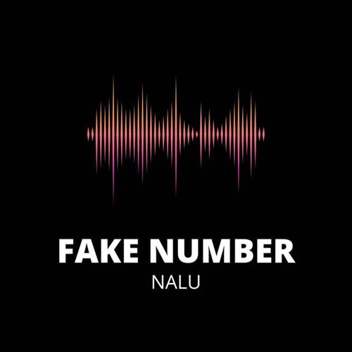 Fake Number