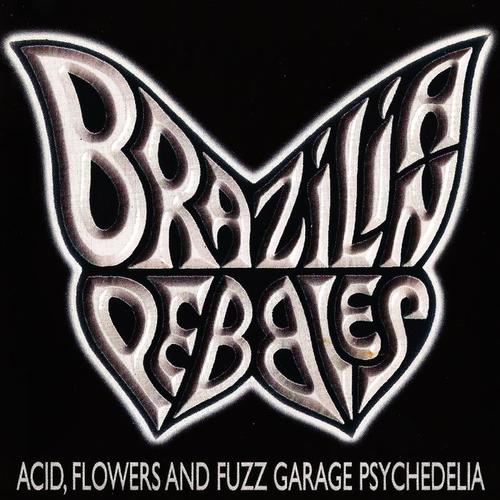 Brazilian Pebbles, Vol. 1 (Acid, Flowers and Fuzz Garage Psychedelia)