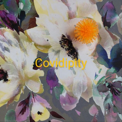 Covidipity