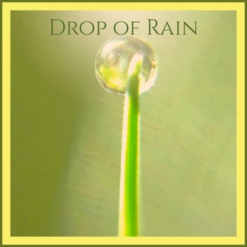 Drop of Rain