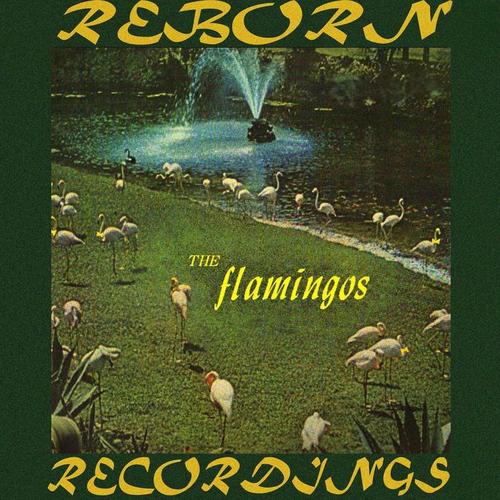 Flamingos (HD Remastered)