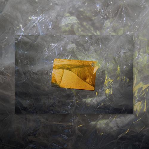 SEAGATE (Yellow)