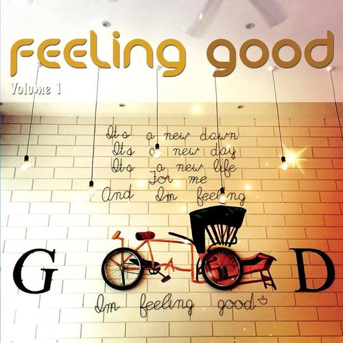 Feeling Good, Vol. 1 (Positive Chill Grooves)