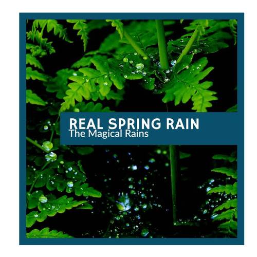 Real Spring Rain - The Magical Rains