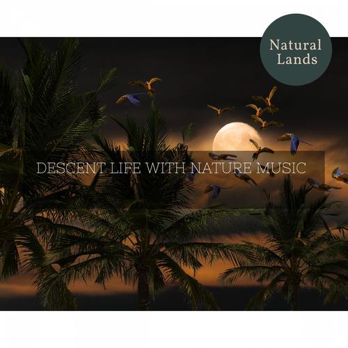 Descent Life with Nature Music