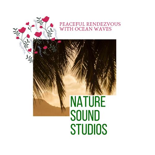 Nature Sound Studios - Peaceful Rendezvous with Ocean Waves