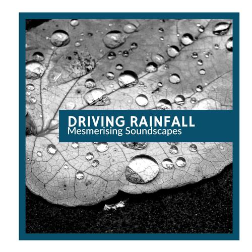 Driving Rainfall - Mesmerising Soundscapes