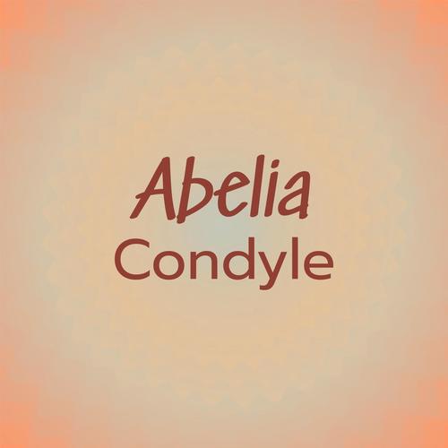 Abelia Condyle