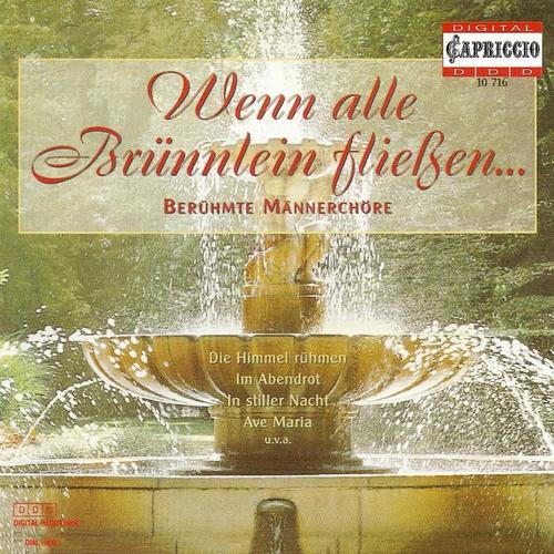 Choral Music (Male Choir) - LYRA, J.W. / LOEWE, C. / BEETHOVEN, L. van / SILCHER, F. / ALFVEN, H. / SCHUBERT, F. / GRIEG, E. / SCHUMANN, R.