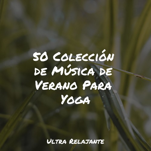 50 Colección de Música de Verano Para Yoga