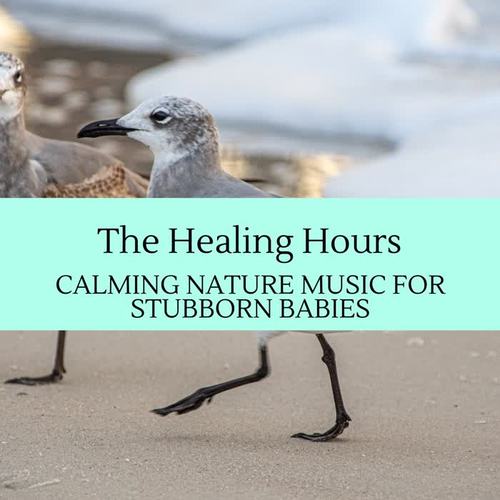 The Healing Hours - Calming Nature Music for Stubborn Babies