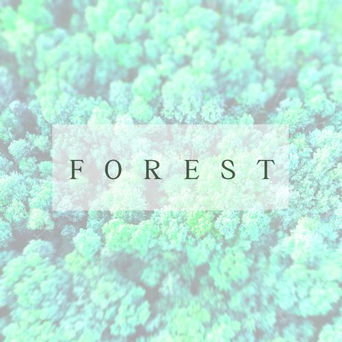 Forest (Extended Sleep Version)