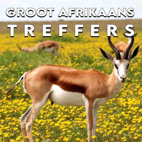 Groot Afrikaans Treffers