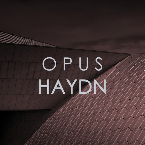 Opus Haydn