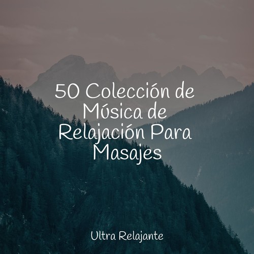 50 Colección de Música de Relajación Para Masajes