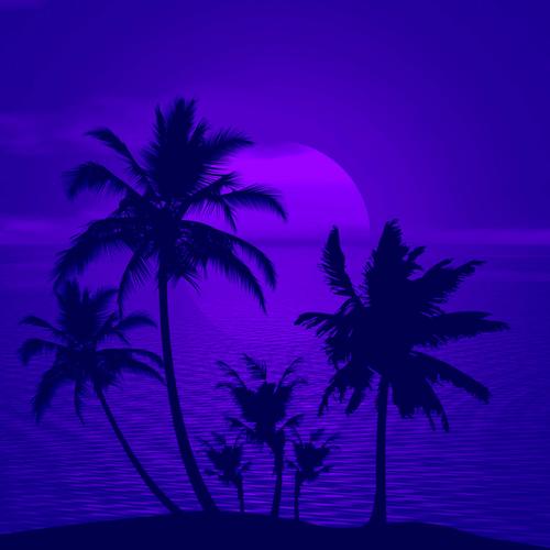 Palms & Waves