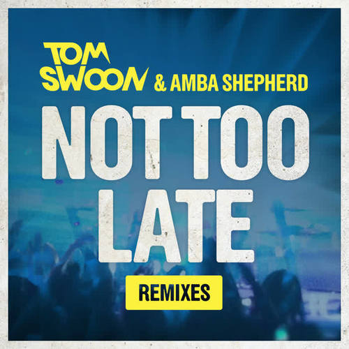 Not Too Late (Remixes) [feat. Amba Shepherd] - EP