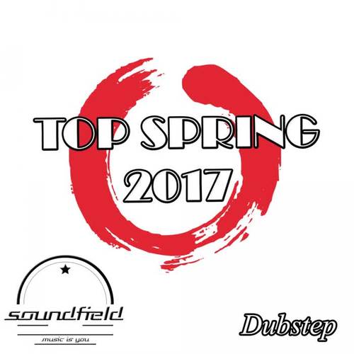 Dubstep Top Spring 2017