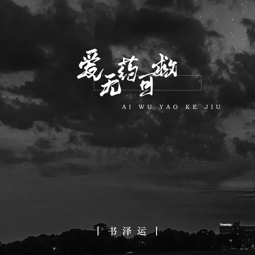 爱无药可救  (Remix 版)