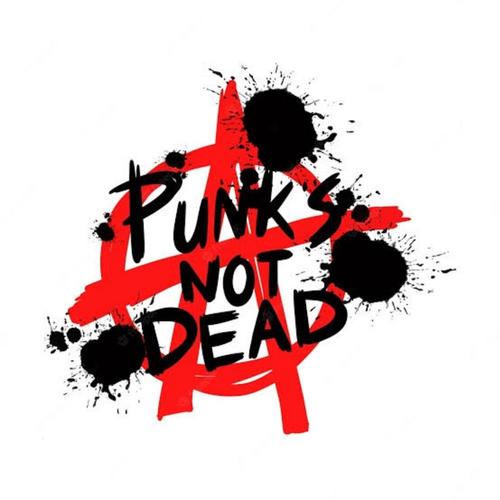 Bu Kalp Seni Unutur mu?  (Fikret Kızılok Cover( Punk Version))